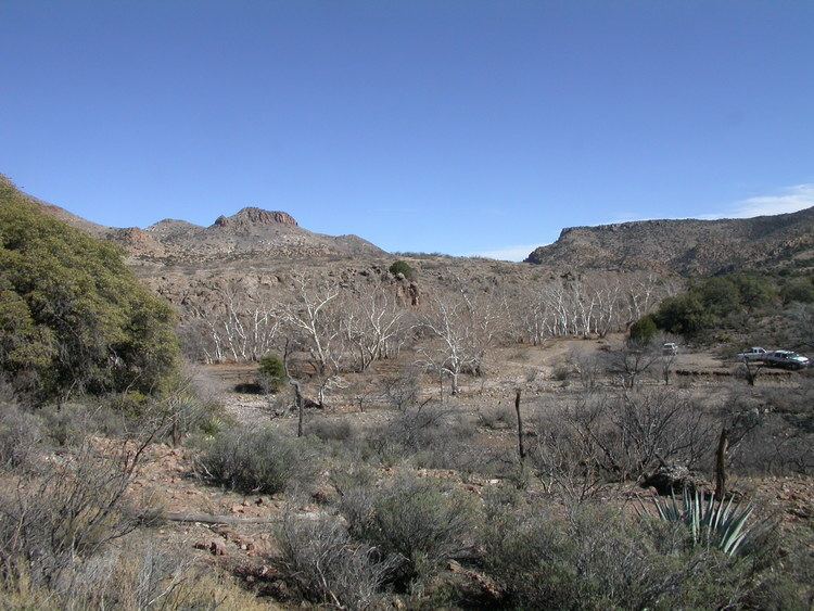 Skeleton Canyon Geronimo Surrender Site in Skeleton Canyon