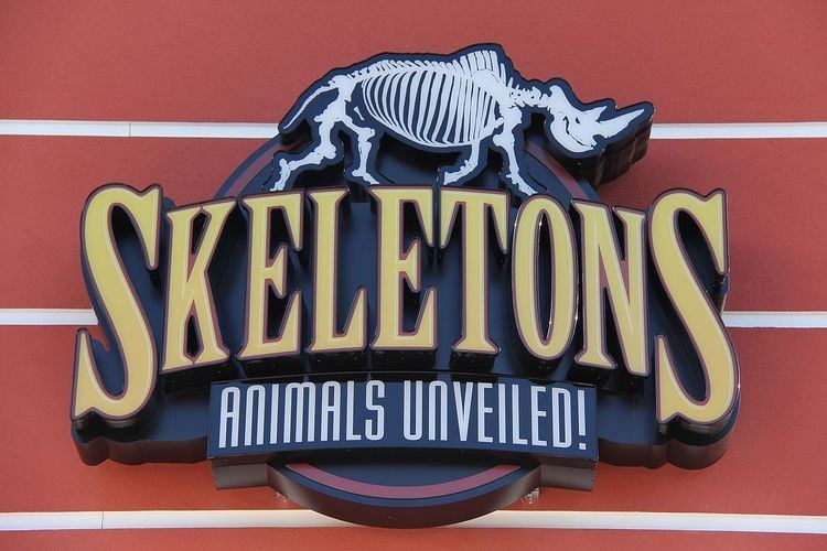 Skeletons: Animals Unveiled