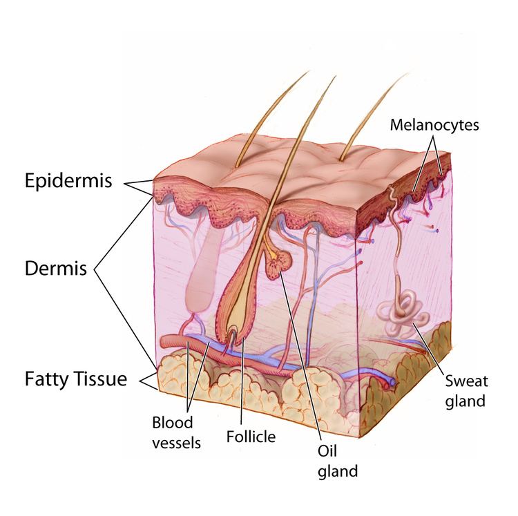 Skin & Bone (film) movie scenes Pathophysiology edit 