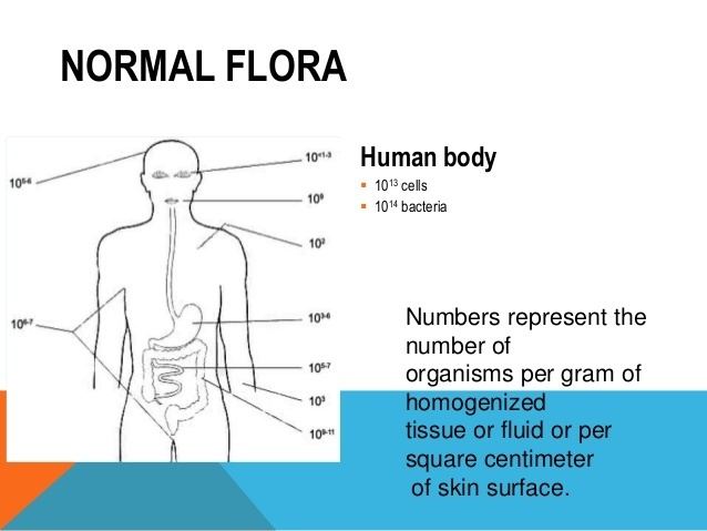 Skin flora Normal flora of Skin
