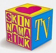 Skinnamarink TV Skinnamarink TV Wikipedia
