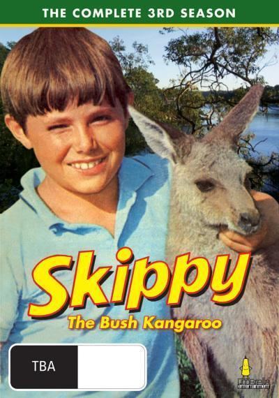 Skippy the Bush Kangaroo Booktopia Skippy The Bush Kangaroo The Complete 3rd Season 2