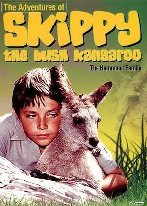 Skippy the Bush Kangaroo Rent Skippy the Bush Kangaroo Vol2 1967 film CinemaParadisocouk