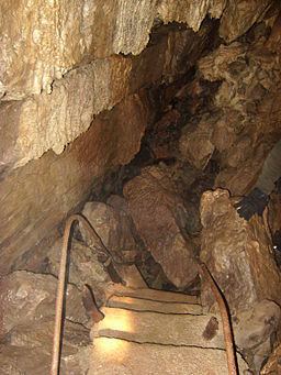 Skirwith Cave httpsuploadwikimediaorgwikipediacommonsthu