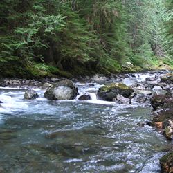 Skokomish River httpswwwnpsgovolymplanyourvisitimages483