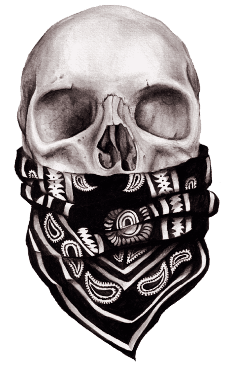 Skull Gang Gang skull by Alexy Boyer WHI