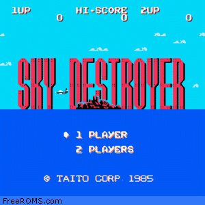 Sky Destroyer NES Nintendo for Sky Destroyer ROM