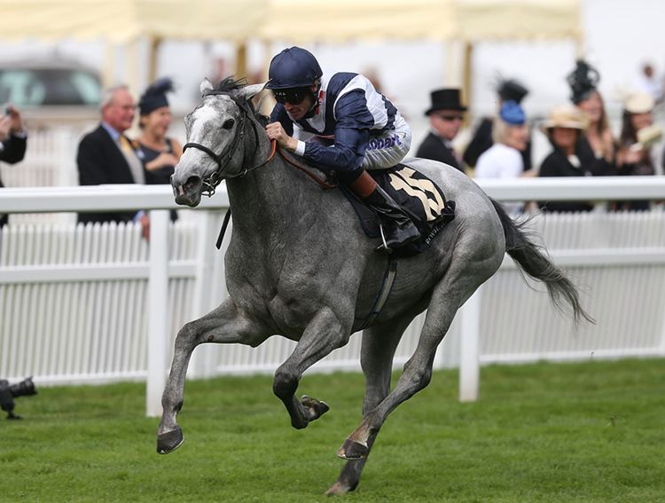 Sky Lantern (horse) Sky Lantern wins the Coronation Stakes on Day Three of Royal Ascot
