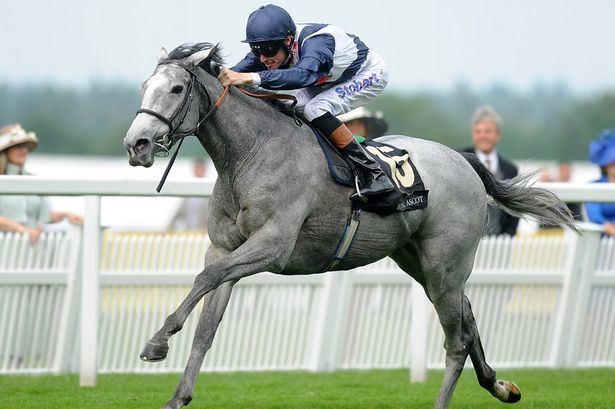 Sky Lantern (horse) Royal Ascot 2013 Sky Lantern 39makes the rest look slow39 in