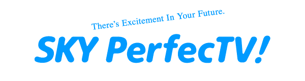 SKY PerfecTV! Multichannel Pay TV Business SKY Perfect JSAT Corporation