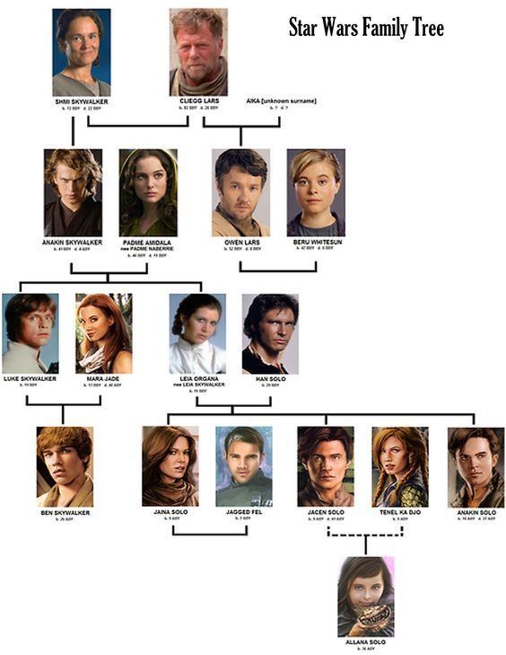 Skywalker family Skywalker family tree Source Club Jade Star Wars Pinterest