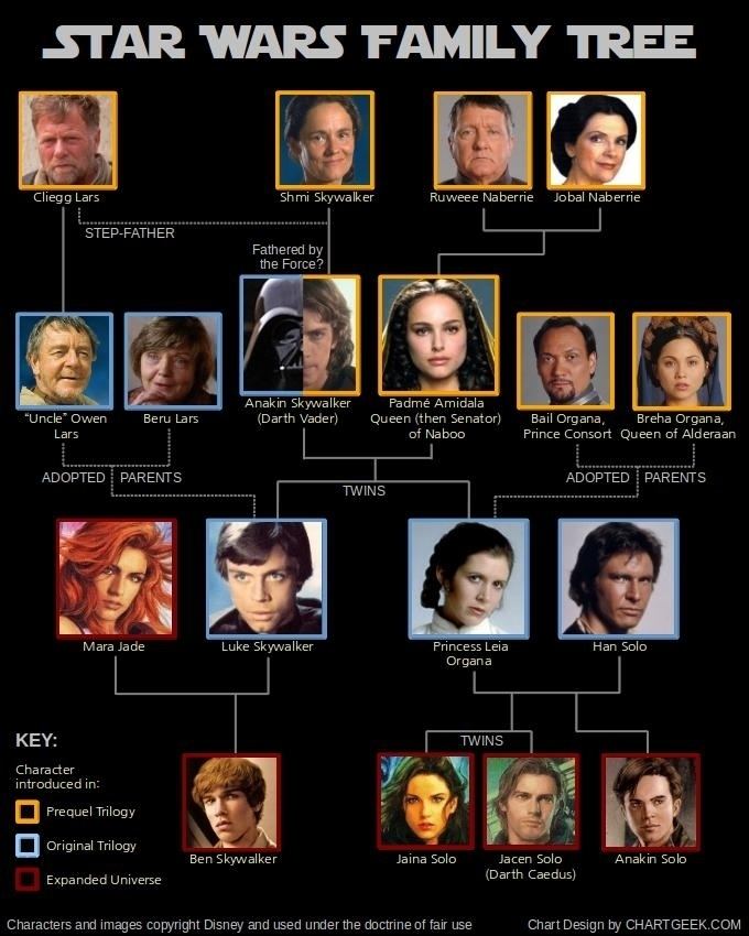 Skywalker family The Definitive Star Wars Family Tree