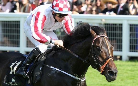 Slade Power How Sole and Slade Power proved Wayne Lordan was one of the riding
