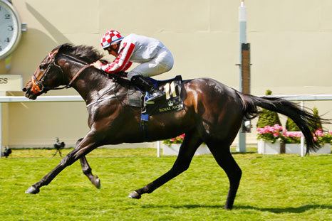 Slade Power Slade Power Europe