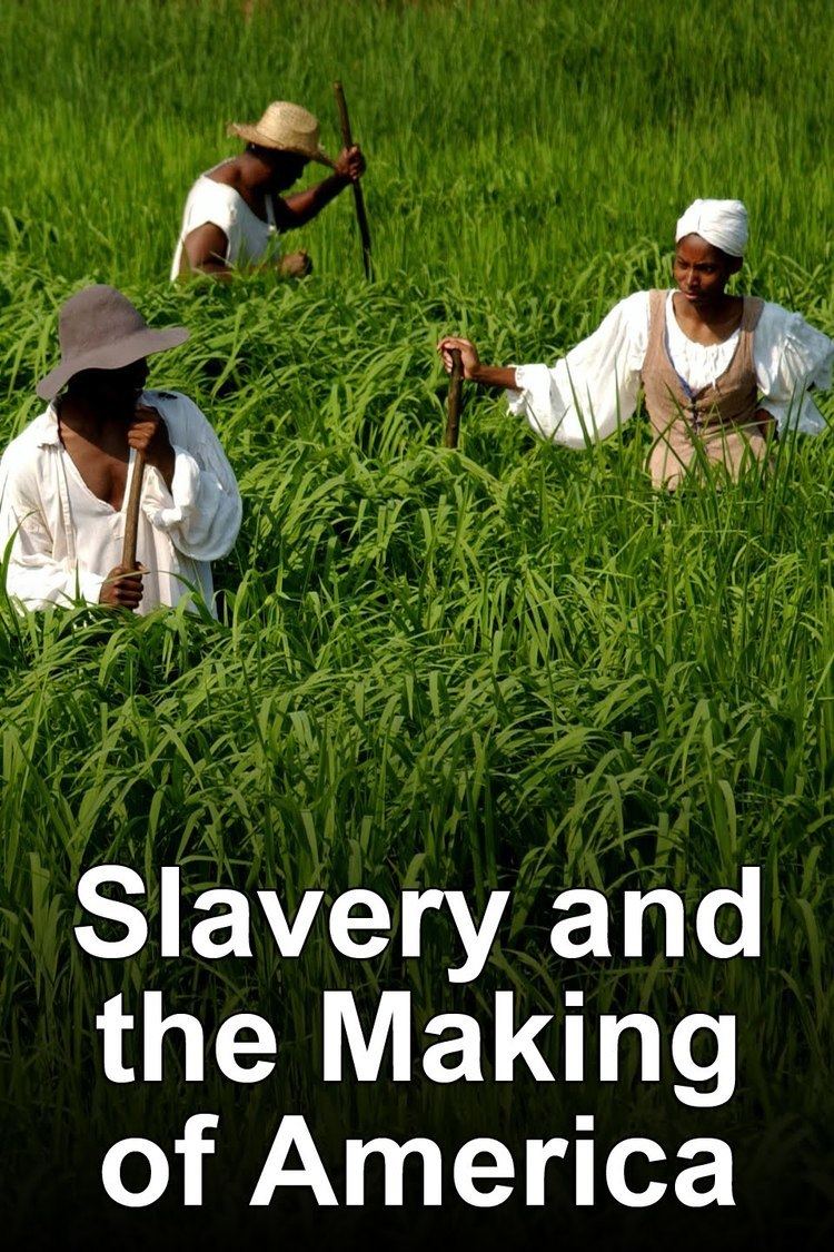 Slavery and the Making of America wwwgstaticcomtvthumbtvbanners288440p288440