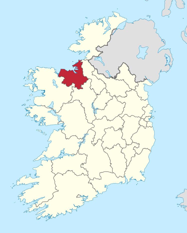 Sligo County Council election, 2004