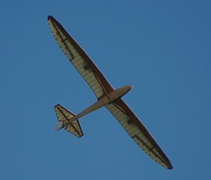 Slingsby Kite httpsuploadwikimediaorgwikipediacommonsthu