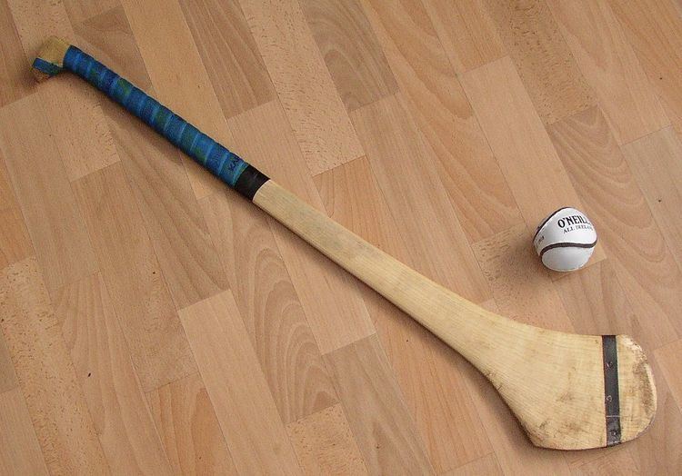 Sliotar