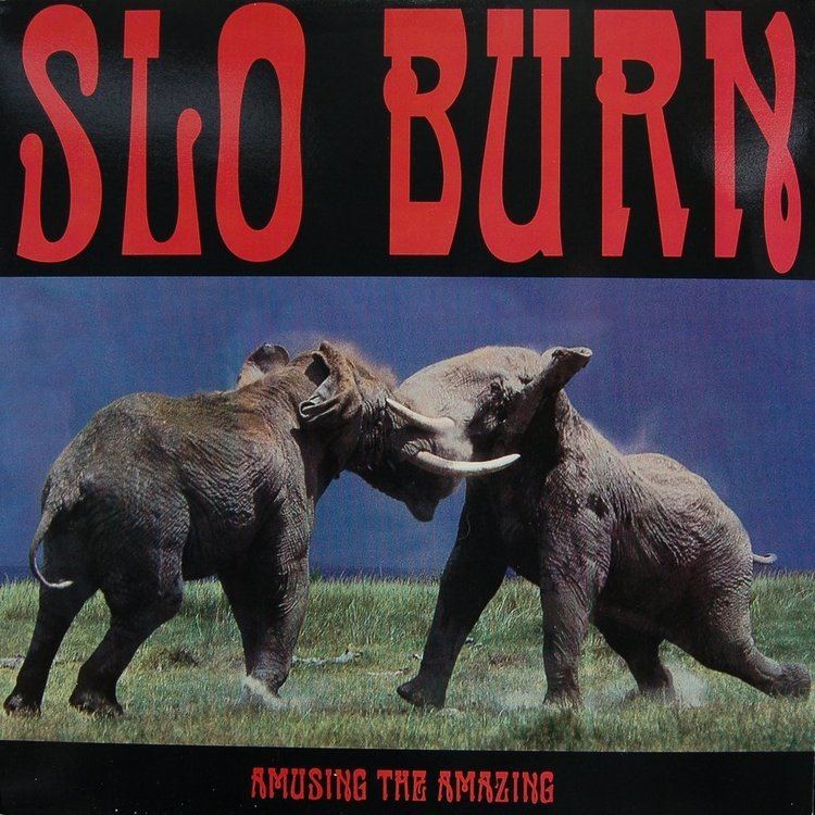 Slo Burn Delicious Vinyl Slo Burn Amusing The Amazing Limited Edition