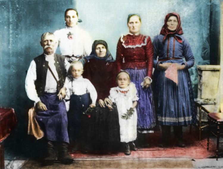 Slovaks in Hungary