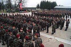 Slovenian Armed Forces 1st Brigade Slovenian Armed Forces Wikipedia