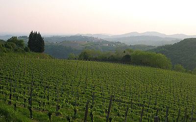 Slovenian wine httpsuploadwikimediaorgwikipediacommonsthu