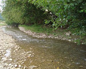 Sălătruc River (Someș) httpsuploadwikimediaorgwikipediacommonsthu