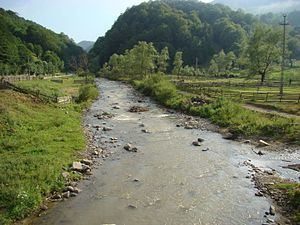 Sălăuța River httpsuploadwikimediaorgwikipediacommonsthu