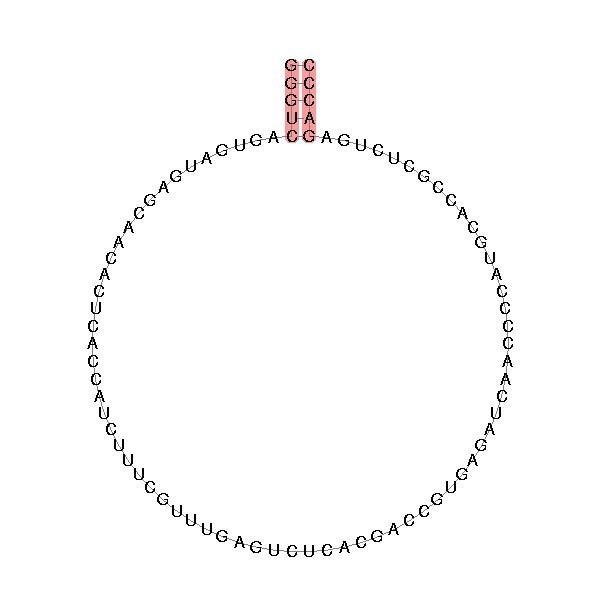 Small nucleolar RNA SNORD32