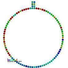 Small nucleolar RNA SNORD43 httpsuploadwikimediaorgwikipediacommonsthu