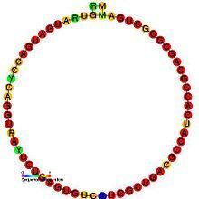 Small nucleolar RNA SNORD48 httpsuploadwikimediaorgwikipediacommonsthu