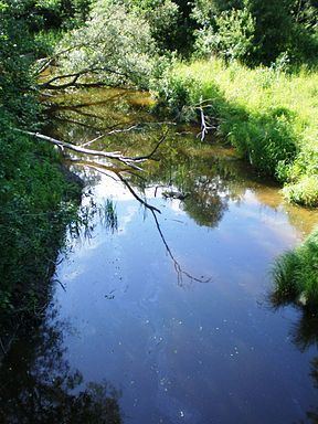 Smilga (river) httpsuploadwikimediaorgwikipediacommonsthu