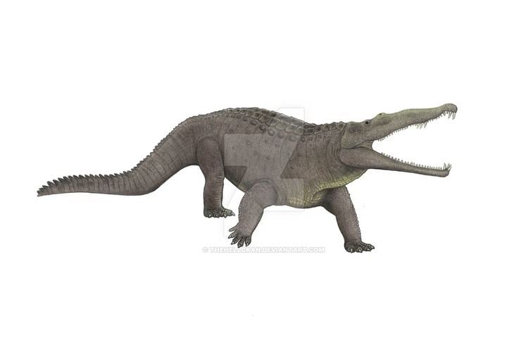 Smilosuchus smilosuchus DeviantArt