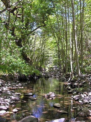 Smith Creek (Santa Clara County, California) httpsuploadwikimediaorgwikipediacommonsthu