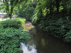 Smithers Creek httpsuploadwikimediaorgwikipediacommonsthu
