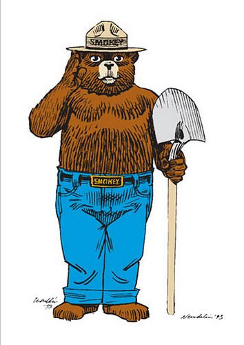 Smokey Bear Letters to Smokey Bear Reveal Promise of Hope for the Future USDA