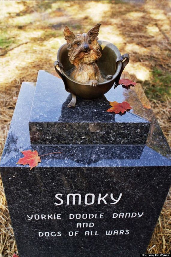 Smoky (dog) Smoky The Yorkshire Terrier Was Probably The Cutest Service Member