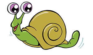 Snail Snail Facts and Information