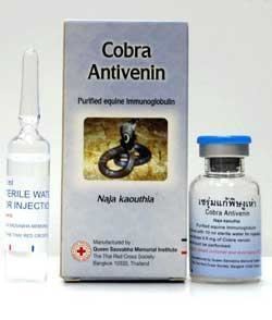 Snake antivenom Snake Antivenom for Cobra Venom Red Cross Antivenin Treatment for