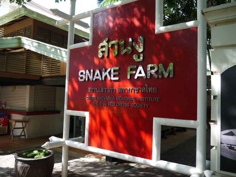 Snake farm Snake Farm At Queen Saovabha Memorial Institute