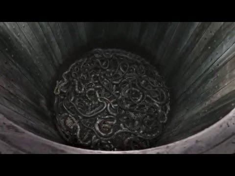 Snake pit KING AELLE39S SNAKEPIT YouTube