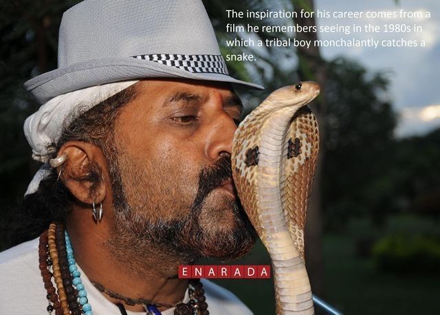 Snake Shyam Snake Shyam catches 27000 plus snakes enaradacomenaradacom