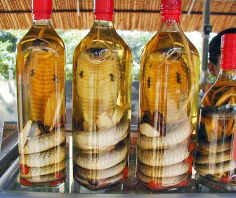 Snake wine Snake Wine