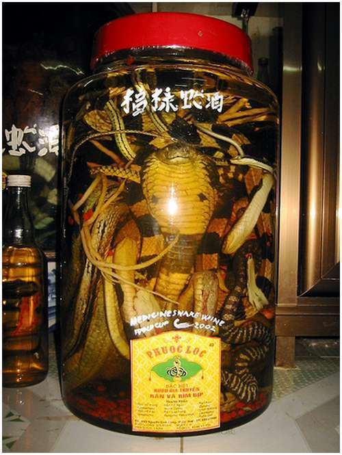 Snake wine Snake wine Would you try it TigerDroppingscom