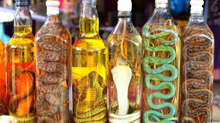 Snake wine BBC Travel The wine that comes with added bite