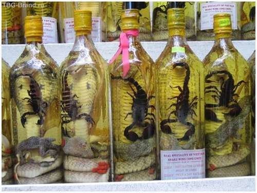 Snake wine The famous snake wine Moolf