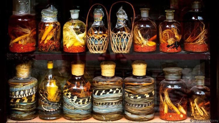 Snake wine BBC Travel The wine that comes with added bite