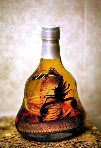 Snake wine Chinese Snake Wine This bottle of wine from Beijing has an Flickr