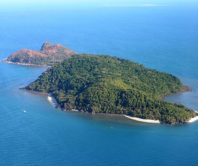 Snapper Island (Queensland) mediatravstarcomaumedia3689iCc21h3G7v36Tbud