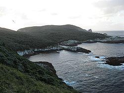 Snares Islands / Tini Heke httpsuploadwikimediaorgwikipediacommonsthu